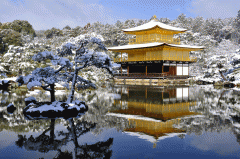 雷神娱乐登录彩票